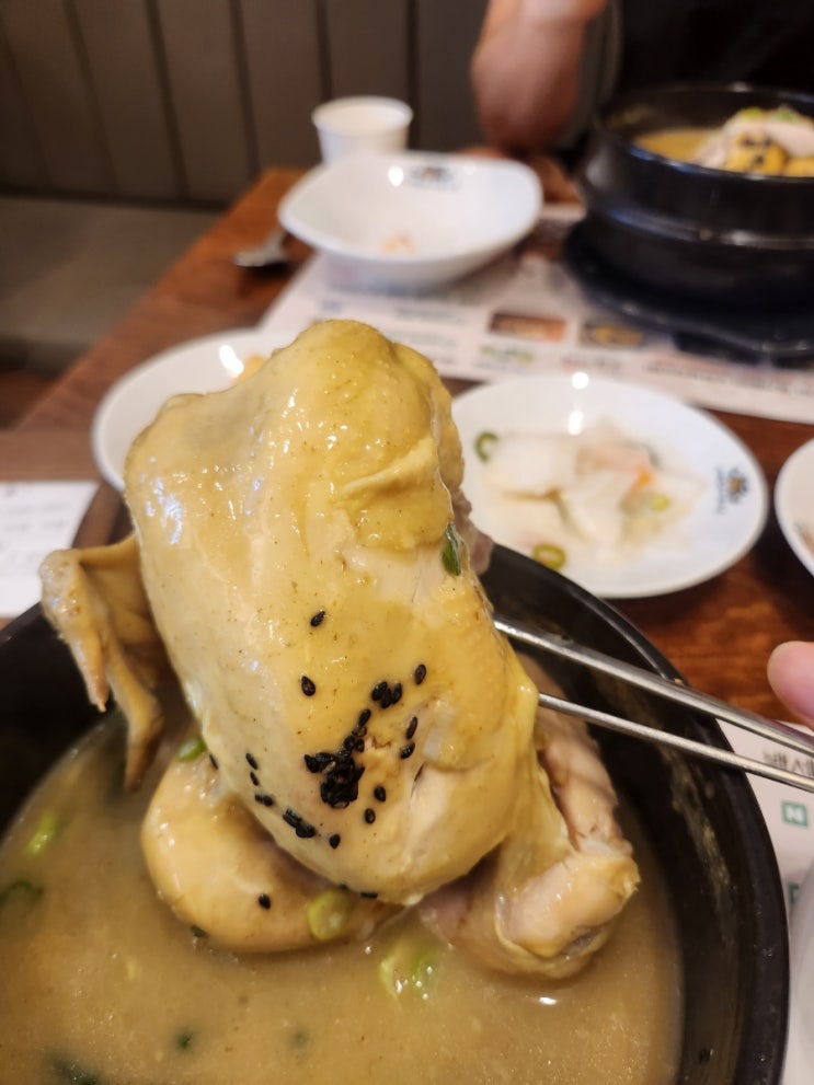  [강동구 성내동] 삼계탕 백세삼계탕에서 상황삼계탕 먹고 왔어요 오동통한 찐 맛집 추천!