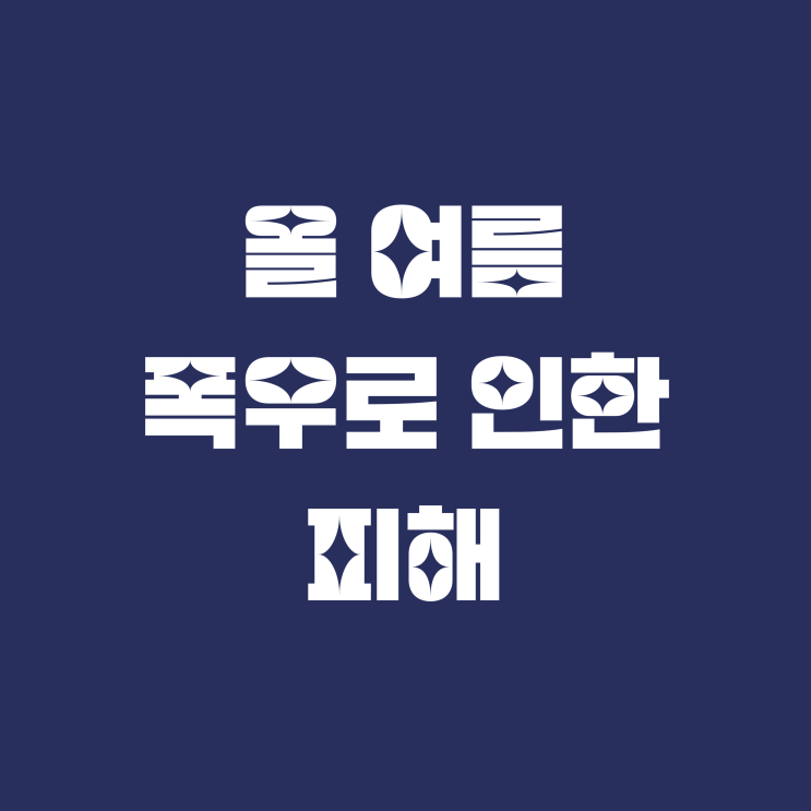  올 여름 폭우로 인한 피해