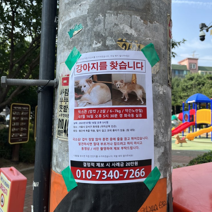  이번주 일기 시작[강아지를 찾습니다/사직서/중복 닭다리/불닭볶음면 야끼소바]