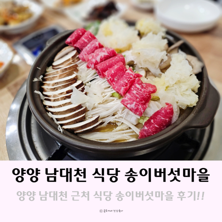 양양 남대천 송이밸리자연휴양림 식당 송이버섯마을 양양 남대천 송이밸리자연휴양림 식당 송이버섯마을