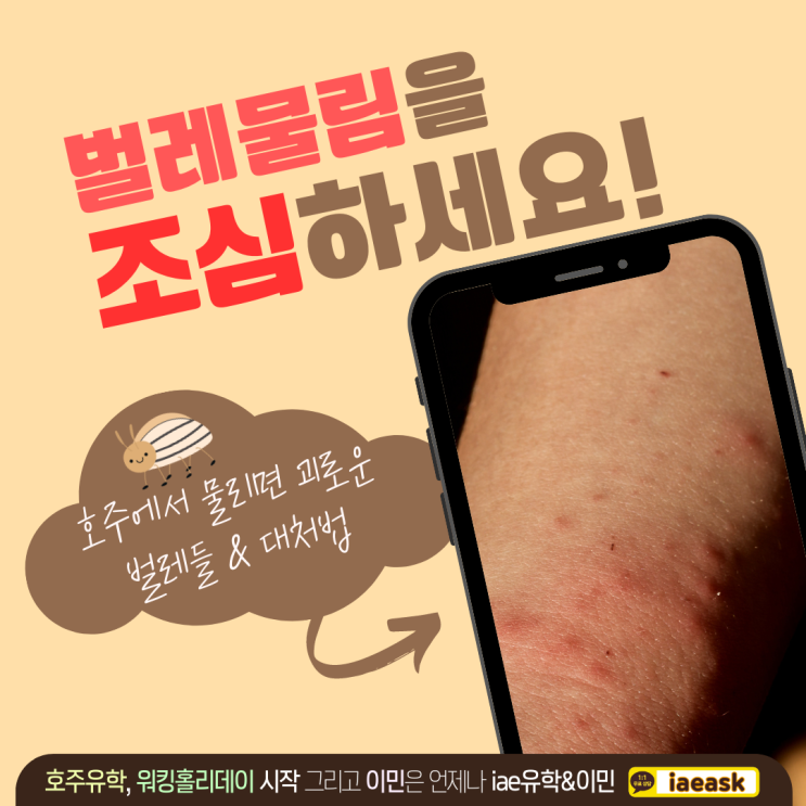  호주 벌레물림 주의하세요, 예방법과 대처법까지 모든 정보를 알려드립니다.