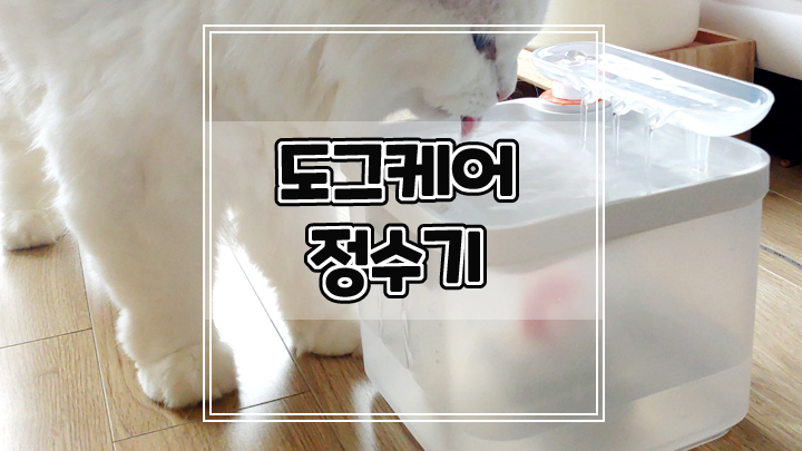  친환경 안전소재 도그케어 정수기로 깨끗한 미네랄 식수 급여하세요