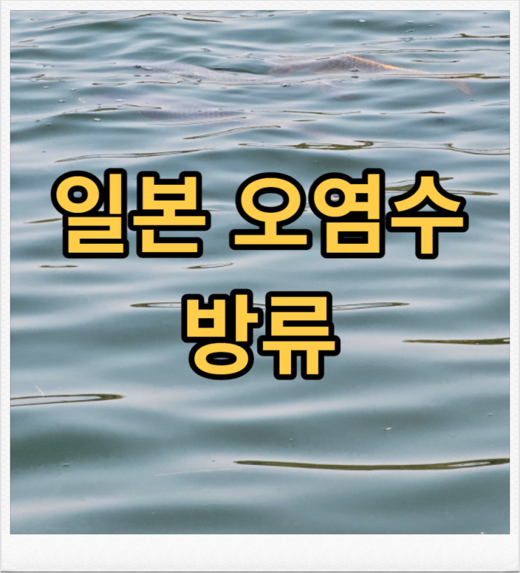  일본오염수 방류 날짜 언제일까