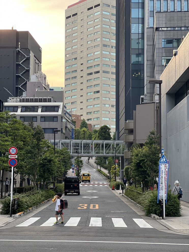  [도쿄: 31일의 기록] 신주쿠에서 조조로 코난 극장판 보고 시부야 찍고 하라주쿠 갔다 아키하바라 | 8일차