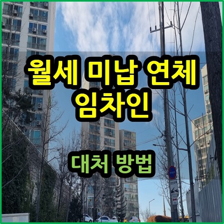  월세 미납 연체 임차인 대처법
