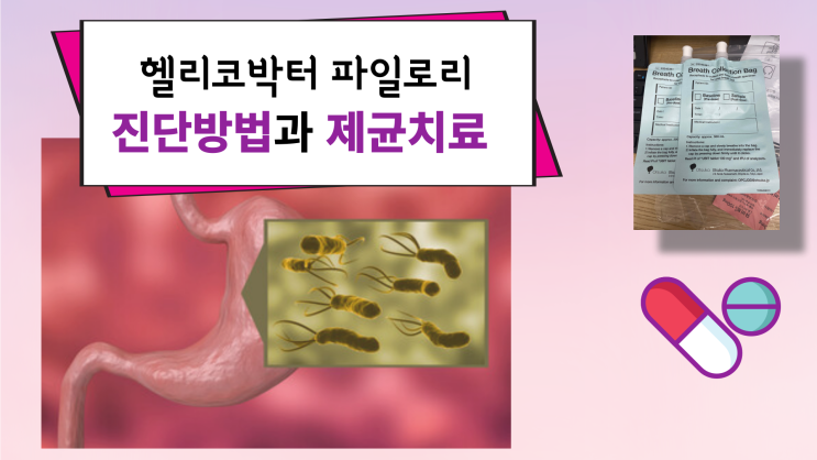  헬리코박터균 진단, 제균치료