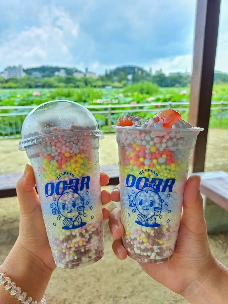 전주 대용량 구슬아이스크림 매장 객사 오오르, 애견동반 가능(맛추천)