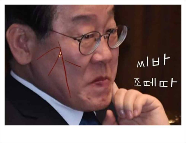 <b>이화영</b>, <b>이재명</b>의 쌍방울 방북 비용 대납 <b>진술</b> 번복해.