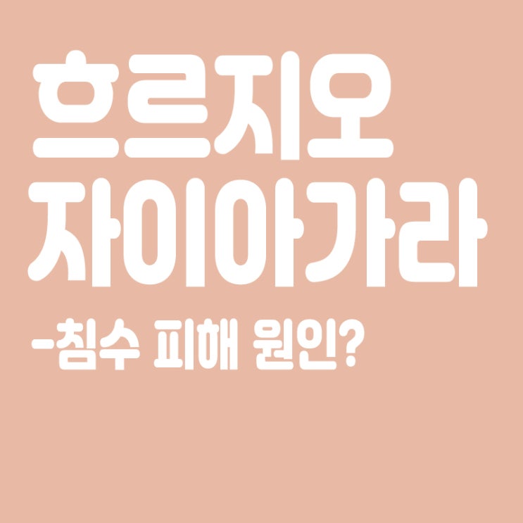  흐르지오란? 흐르지오 뜻, 자이아가라란? 자이아가라 뜻,침수피해원인