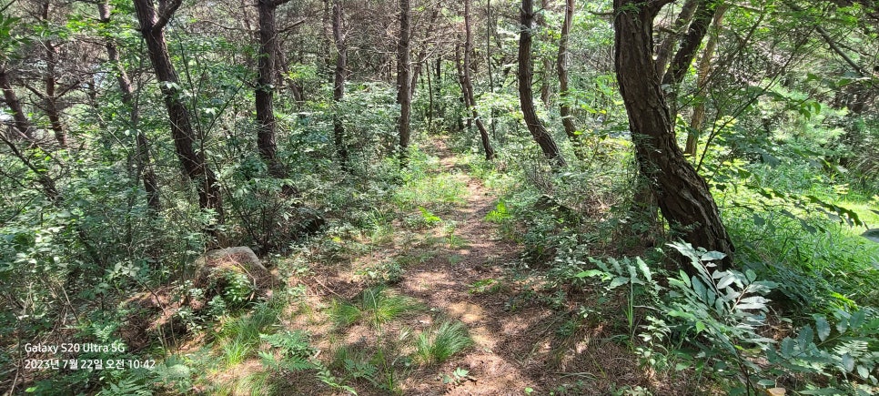 삼보산 사진 5