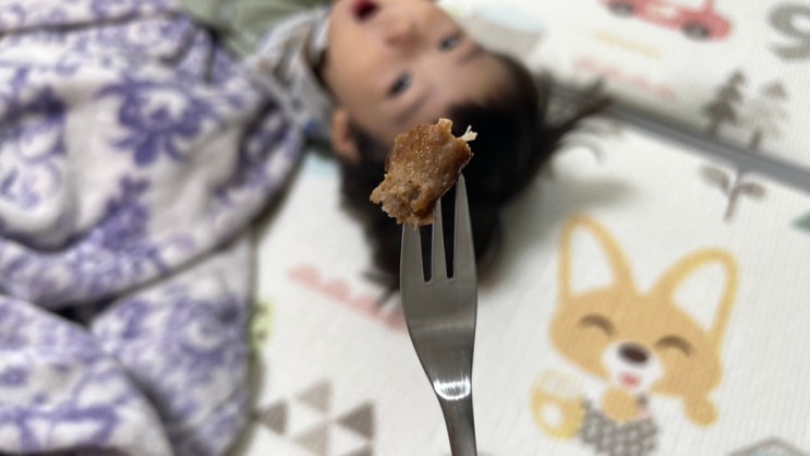  아이들을 위한 간단한요리, 수제떡갈비 대디떡갈비