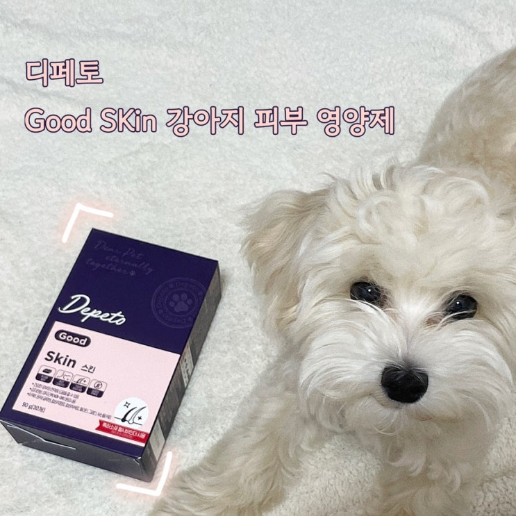  디페토 굿스킨 강아지 피부피모 관리 기호성 좋은 영양제