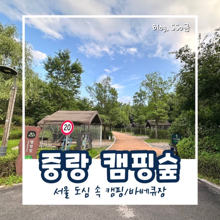  [서울]중랑 캠핑숲 : 캠핑장 매점, 명당 정보 정리