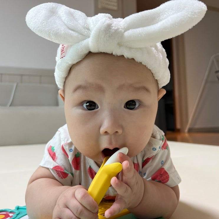 -홍삼이 229일- 이모가 온날 / 진정한 가족외식 / 내복바람 외출 /삼이네