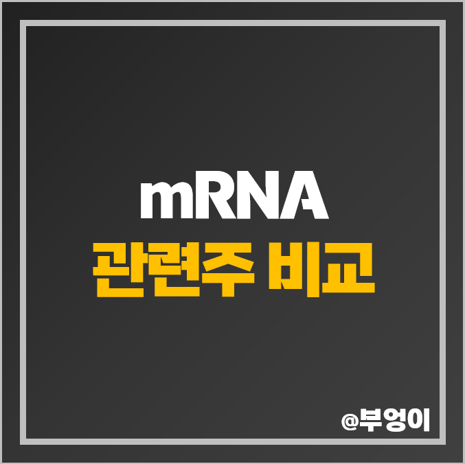 mRNA 관련주 비교 : 오릭스 피씨엘 주식 PER 주가 배당금 순위 mRNA 관련주 비교 : 오릭스 피씨엘 주식 PER 주가 배당금 순위