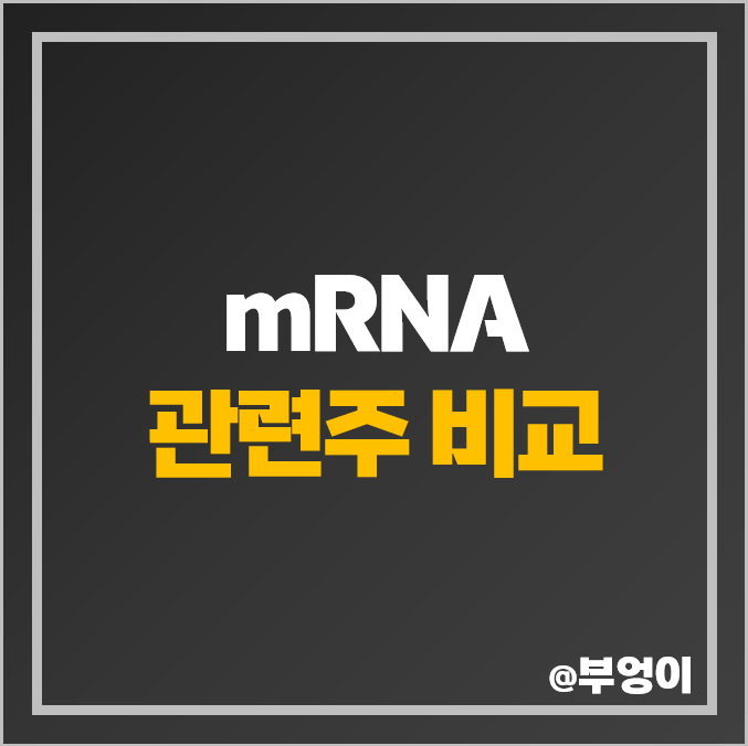 mRNA 관련주 비교 : 오릭스 피씨엘 주식 PER 주가 배당금 순위