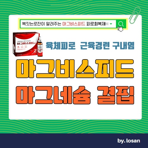 이동국 마그네슘 마그비스피드 효능 가격 부작용