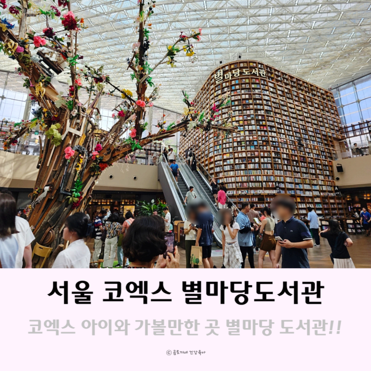 서울 강남 놀거리 코엑스 별마당도서관 아이랑 가볼만한곳