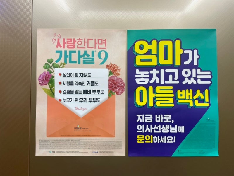 울산 가다실 9가 최저가 후기 최신 가격 정보