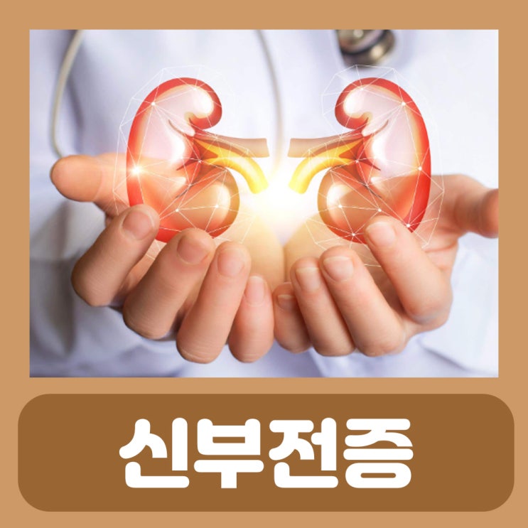  신부전증 음식 식단 : 급성 만성 말기 신부전증 증상