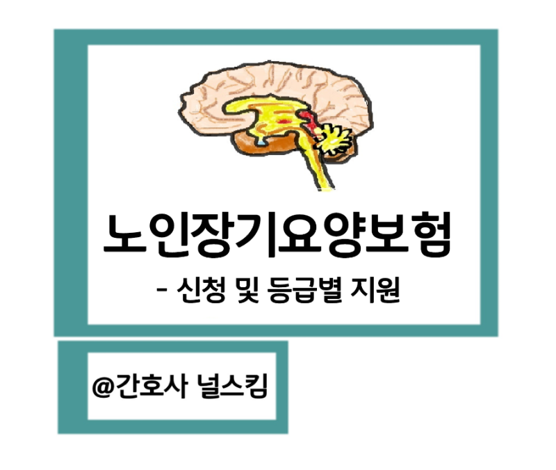 노인장기요양보험등급 치매등급 신청 및 등급별 지원내용