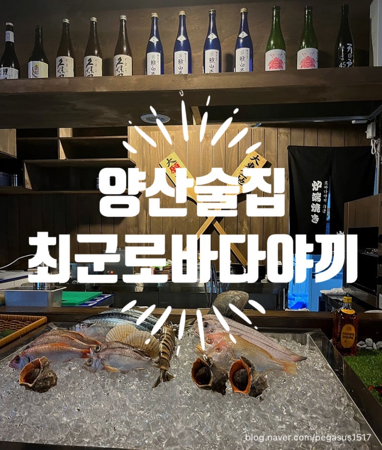 양산맛집; 최군로바다야끼양산점/신상술집