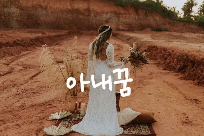 아내꿈 아내가 바람피우는꿈 아내가 죽는꿈 아내가임신하는꿈 아내꿈해몽