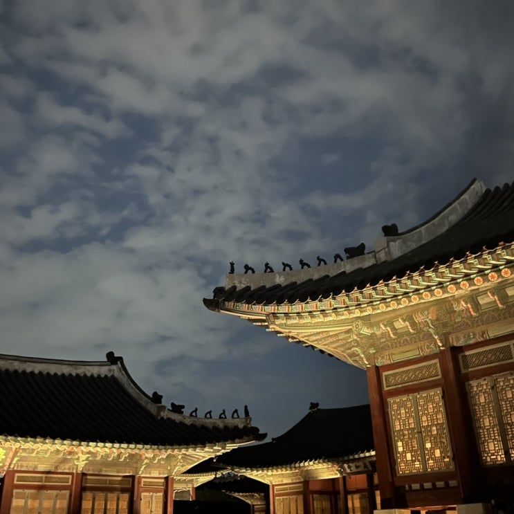  경복궁 야간개장 관람 후기& 예매 꿀팁