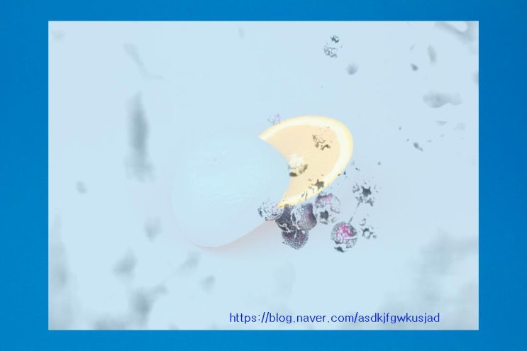  에스트로겐을 증가시키는 음식: 여성 건강에 중요한 영양소