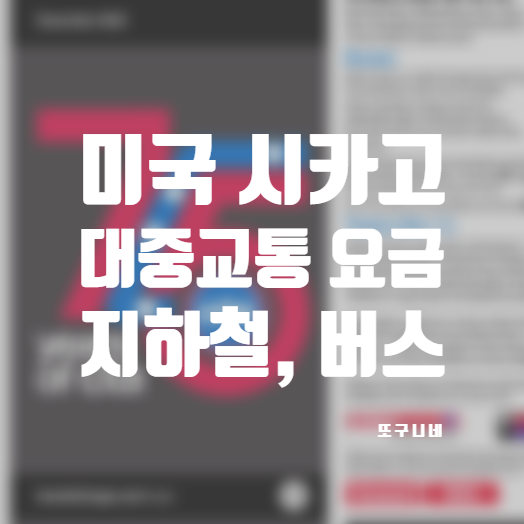  미국 시카고 대중교통 지하철 버스 요금 (교통카드/현금)