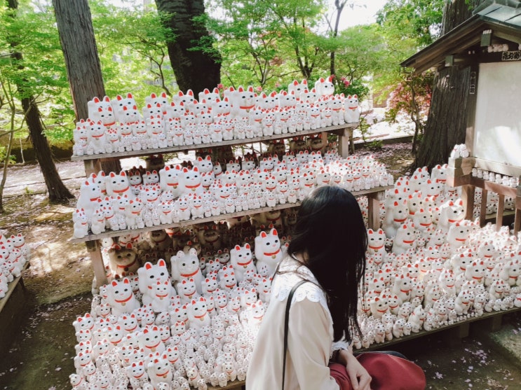 {도쿄} 숨은명소 산책여행 *고토쿠지* 고양이상 마네키네코 포토스팟 {도쿄} 숨은명소 산책여행 *고토쿠지* 고양이상 마네키네코 포토스팟