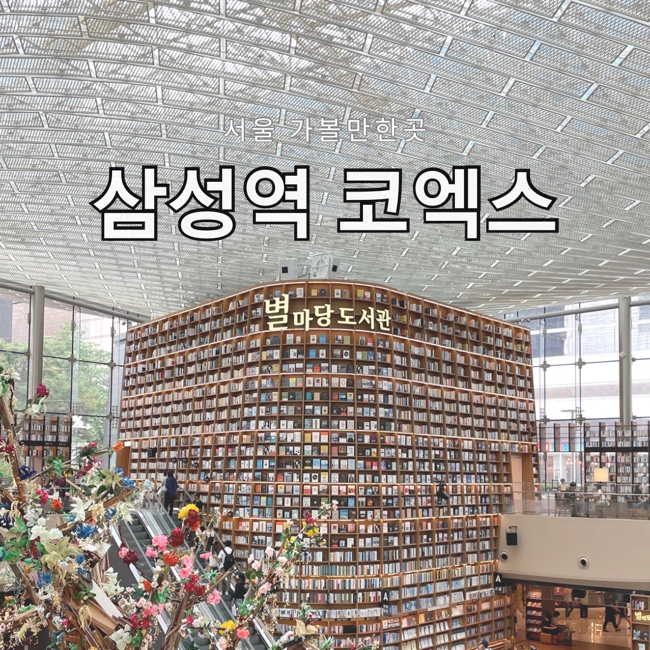 서울 가볼만한곳 삼성역 코엑스 별마당도서관 카카오프렌즈 버터
