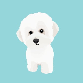  동물 명언(A famous saying about animal)