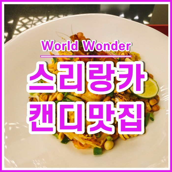  [스리랑카5] 캔디의 짧은 휴식, 스리랑카 최고 열차의 1등석 티켓을 구하다!