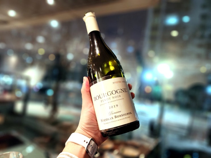  [프랑스] Domaine Nicolas Rossignol Bourgogne Pinot Noir 2019 - 준수하다