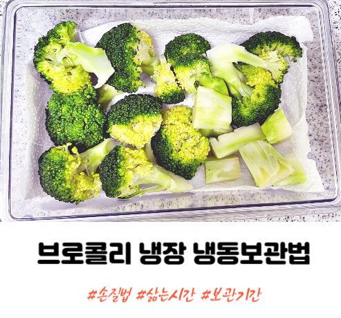 브로콜리 삶는시간 방법 냉장 냉동 보관법 보관 기간까지