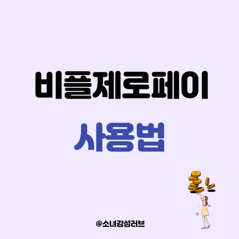 비플제로페이 사용법 완벽정리