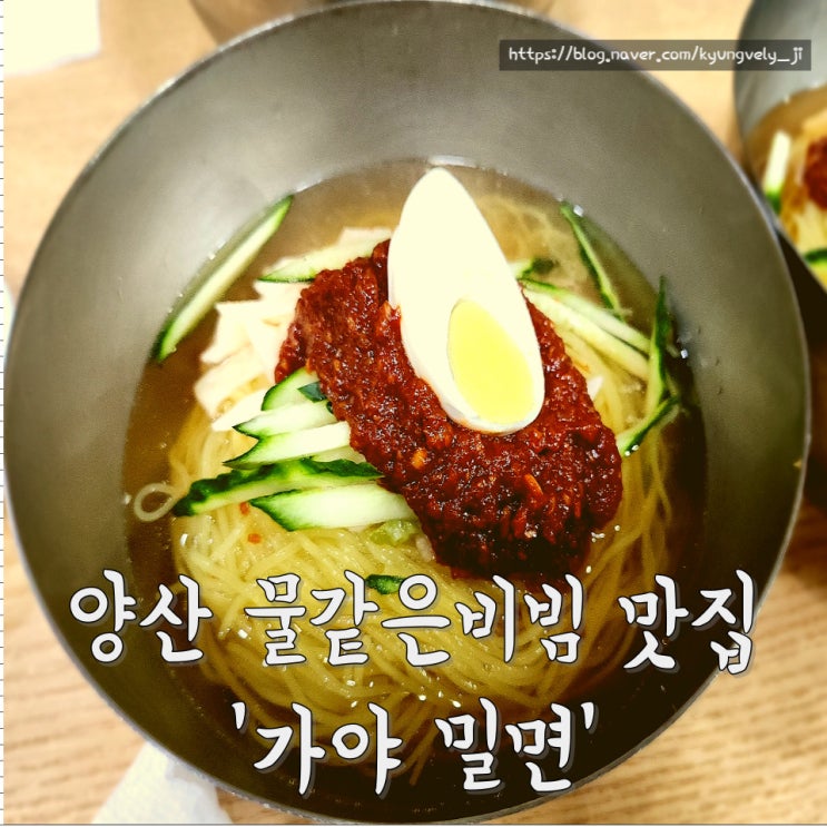  양산 북정 택지 맛보기 수육 주는 물 같은 비빔 밀면 맛집 '가야밀면'