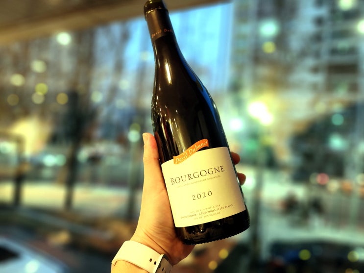  [프랑스] Domaine David Duband Bourgogne 2020 - 달콤하다