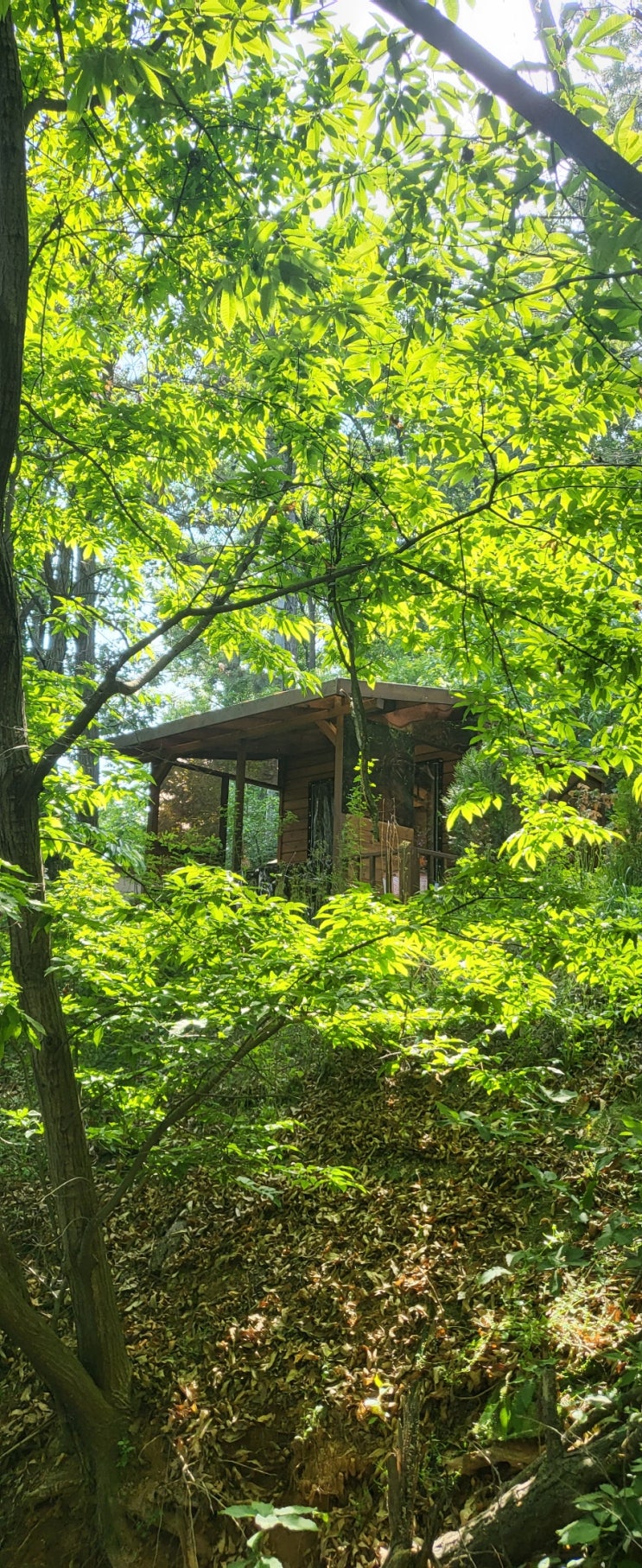 숙소 추천 : 김포 여울지 숲속 캠핑장, 쉼 오두막 2동
