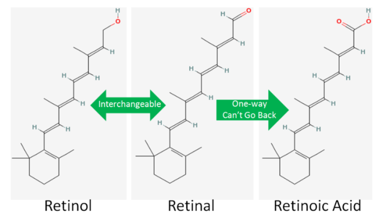 레티놀,레티닐팔미테이트 비타민A크림 / 주름 개선 성분 분석