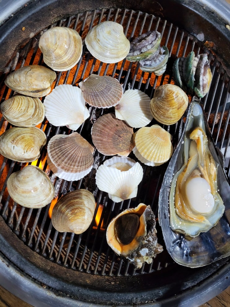  [조개창고 방배점] 내방역 맛집 조개구이 무한리필