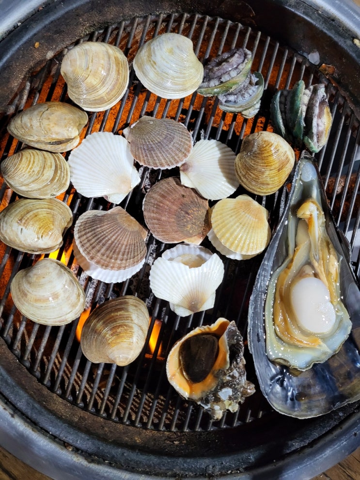 [조개창고 방배점] 내방역 맛집 조개구이 무한리필