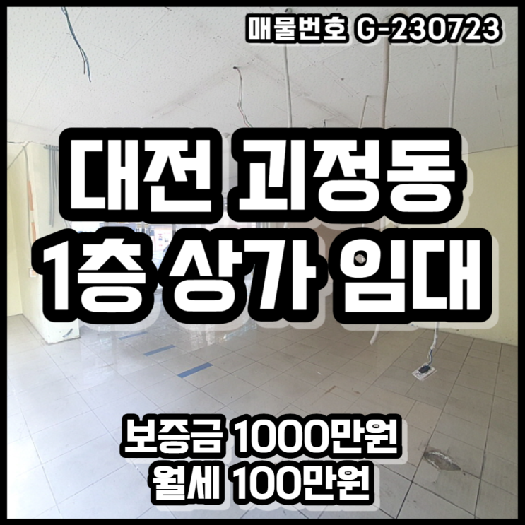 대전 괴정동 공실 1층 상가 임대 매물, 대전 롯데백화점 인근 상가 월세 매물
