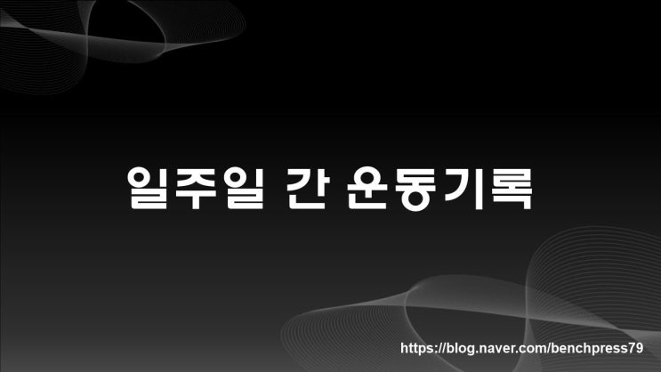  일주일 간 운동기록 (운동일기)
