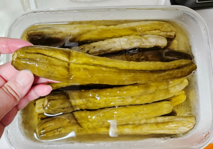  [ 간단 레시피 ] 새콤달콤 여름 반찬  오이지무침 만들기