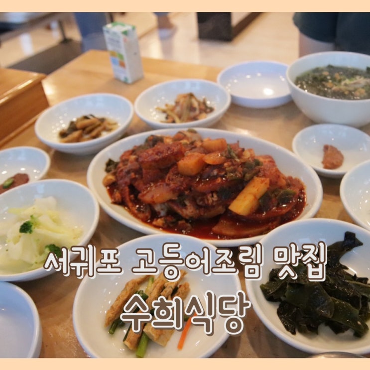  [맛집] 수희식당 : 가족 모임 식당 / 서귀포 맛집 / 블루리본 11관왕 식당 / 고등어조림 & 갈치 조림 & 성게미역국