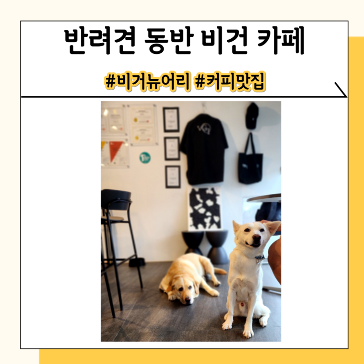 인천 실내 애견카페 비거뉴어리 애견과 함께 갈 수 있는 비건 카페 인천 실내 애견카페 비거뉴어리 애견과 함께 갈 수 있는 비건 카페