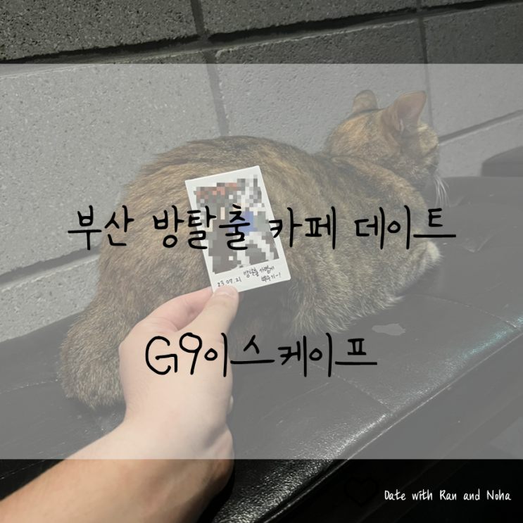  주간 마무리 데이트 부산 대연동 방탈출카페 G9이스케이프, 그리고 폭우 피해 해피빈 기부