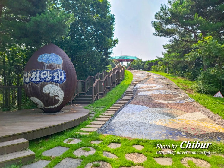  경기도 안산 가볼만한곳 대부도 갈만한곳 바다향기수목원